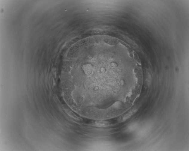 X0000066120758200603171754