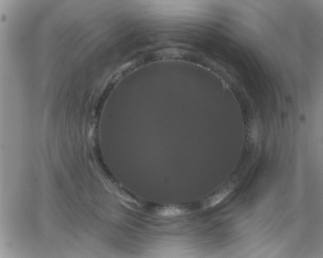 X0000066120759200603171754