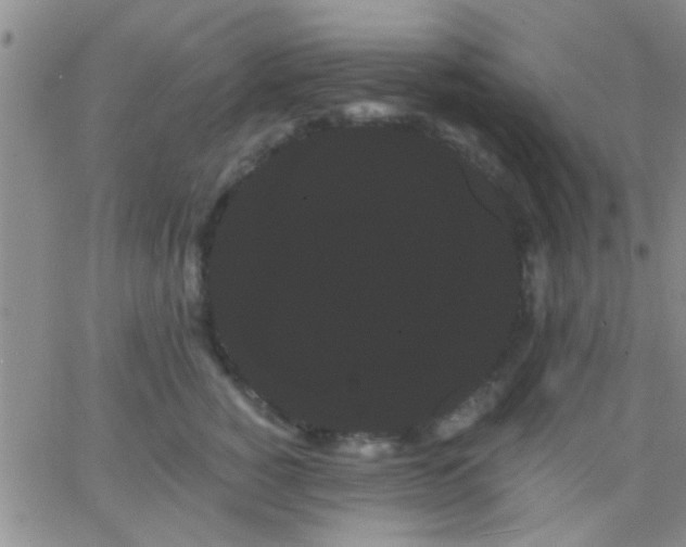 X0000066120760200603171754