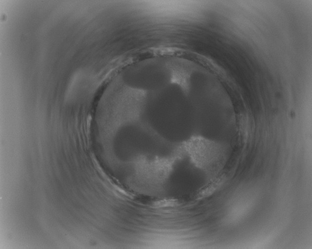 X0000066120761200603171754