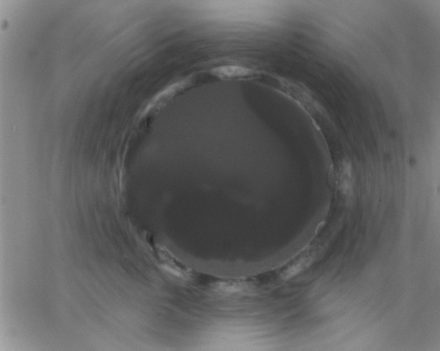 X0000066120763200603171754