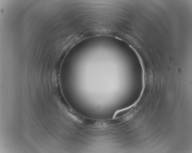 X0000066120764200603171754