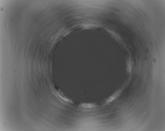 X0000066120766200603171754