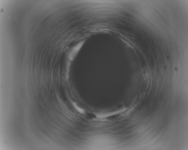 X0000066120767200603171754