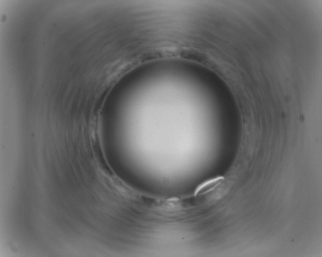 X0000066120768200603171754