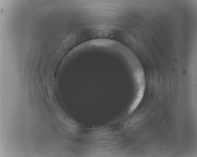 X0000066120769200603171753