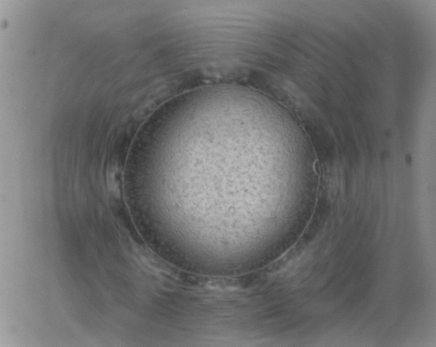 X0000066120770200603171753