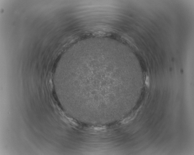 X0000066120771200603171753