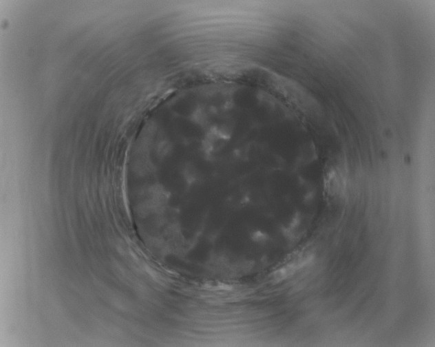 X0000066120772200603171753