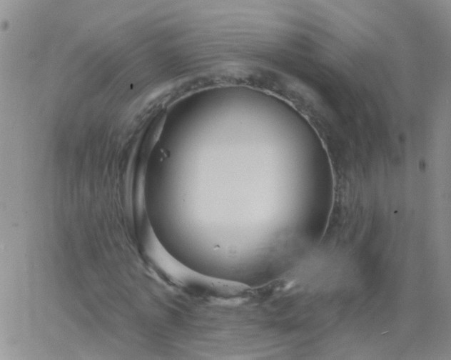 X0000066120773200603171753