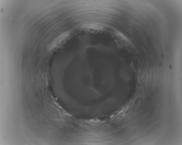 X0000066120774200603171753