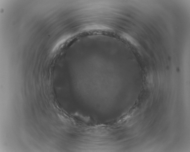 X0000066120775200603171753