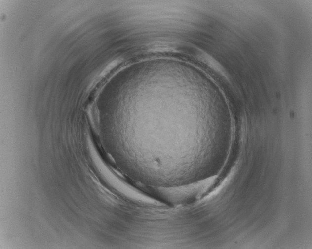 X0000066120777200603171753