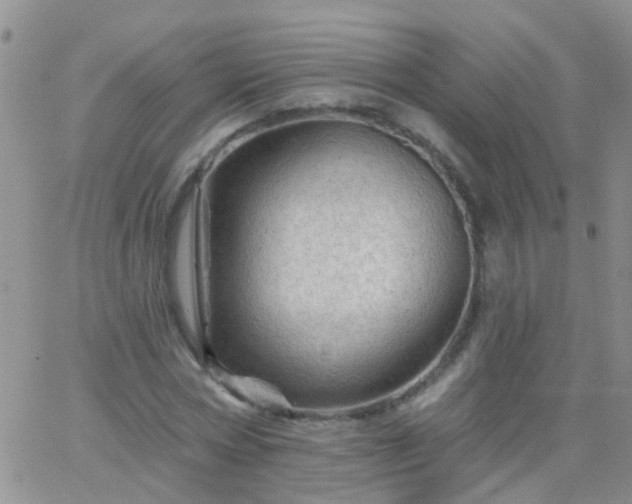 X0000066120778200603171753