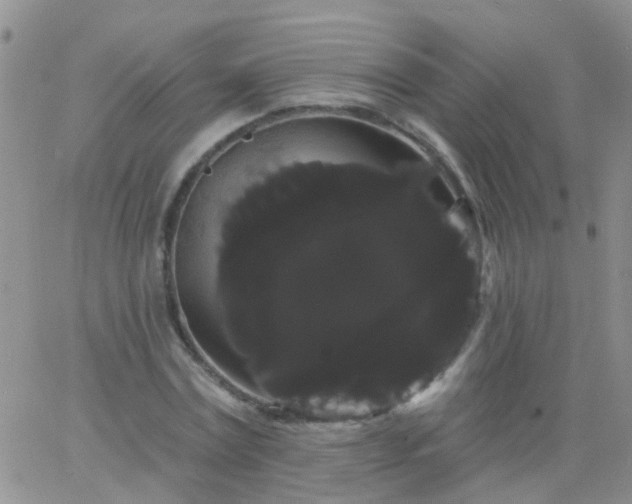 X0000066120779200603171753