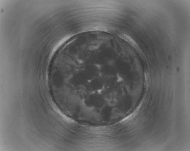 X0000066120780200603171753