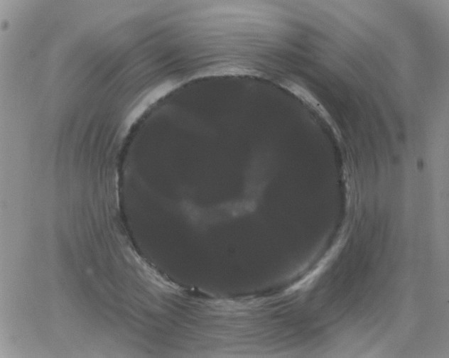 X0000066120781200603171753