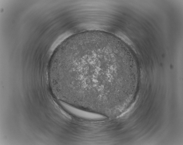 X0000066120782200603171753