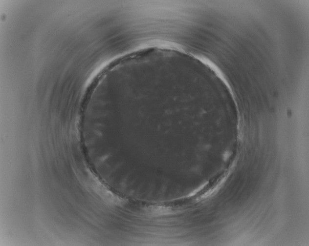 X0000066120783200603171753