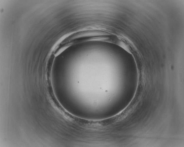 X0000066120784200603171753