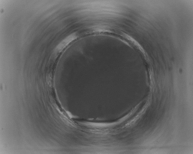 X0000066120785200603171753