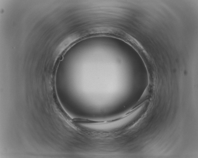 X0000066120786200603171753