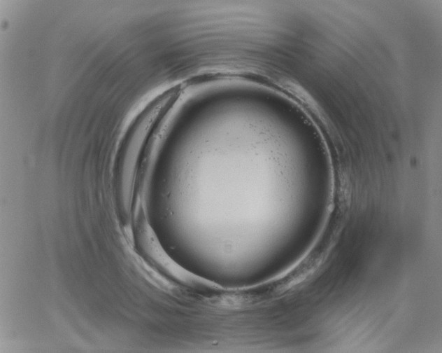 X0000066120787200603171753