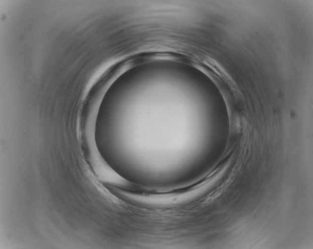 X0000066120788200603171753