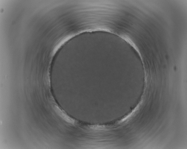 X0000066120789200603171753