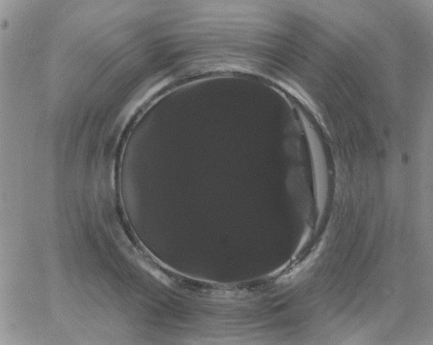 X0000066120790200603171753