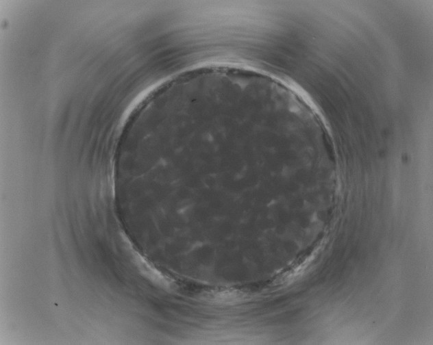 X0000066120791200603171753