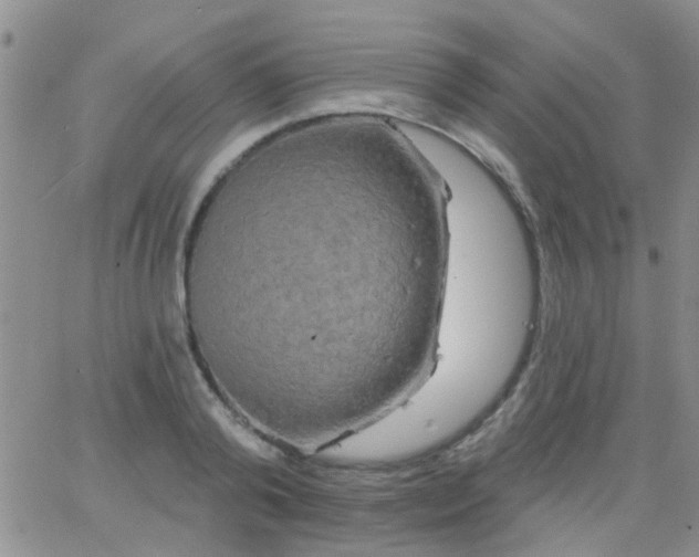 X0000066120792200603171753