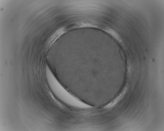 X0000066120793200603171753