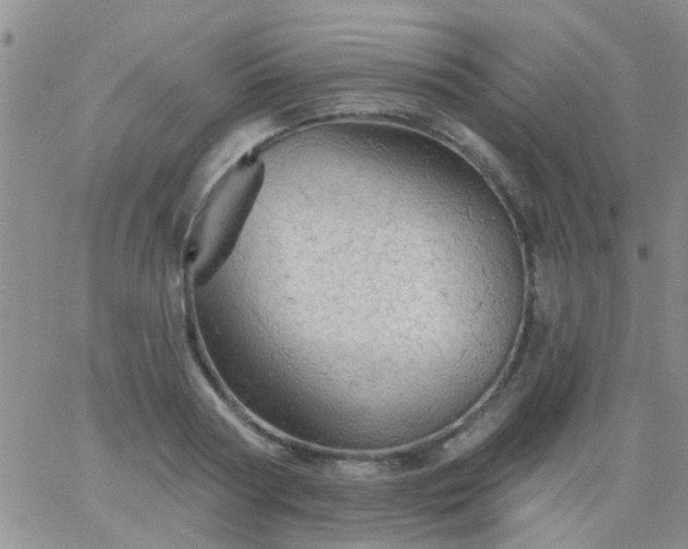 X0000066120794200603171752