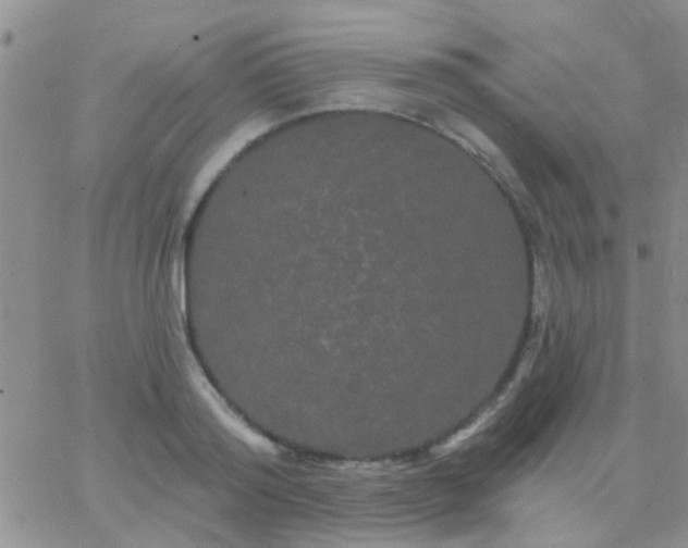 X0000066120796200603171752