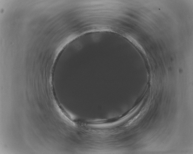 X0000066120797200603171752