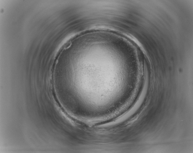 X0000066120799200603171752