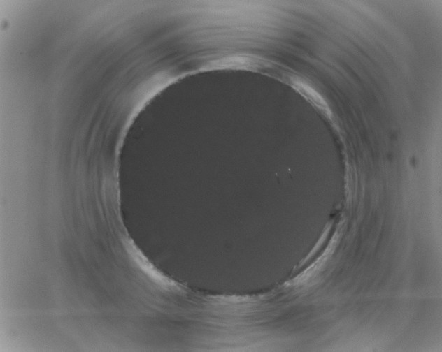 X0000066120800200603171752