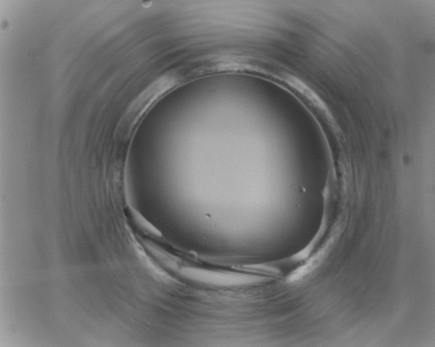 X0000066120801200603171752