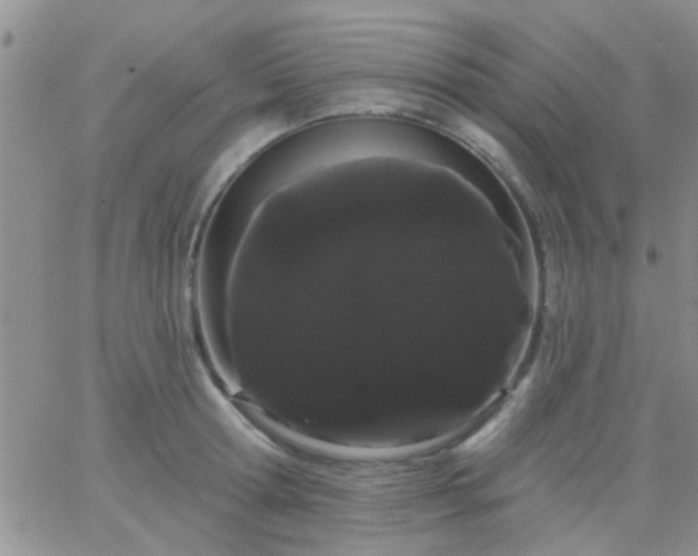 X0000066120802200603171752