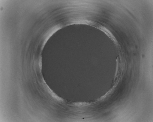 X0000066120804200603171752