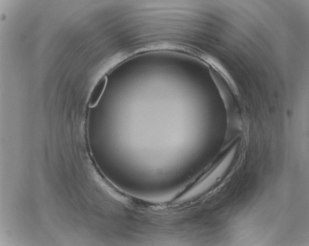 X0000066120805200603171752