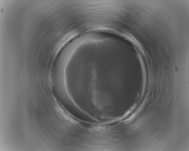 X0000066120806200603171752