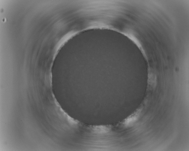 X0000066120807200603171752