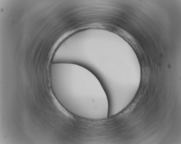 X0000066120808200603171752