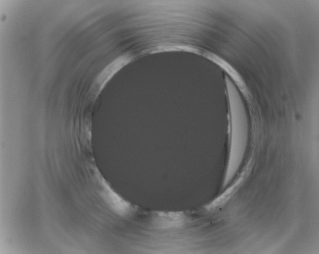 X0000066120809200603171752