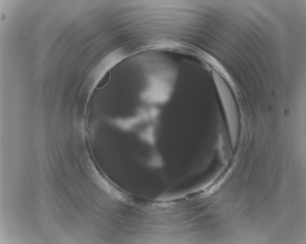 X0000066120810200603171752