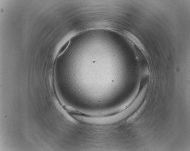 X0000066120812200603171752