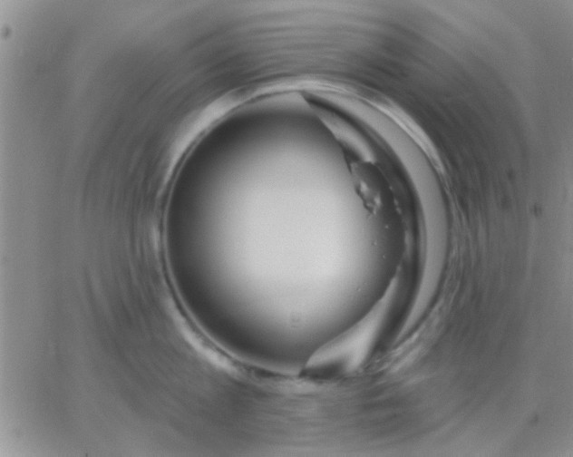 X0000066120813200603171752