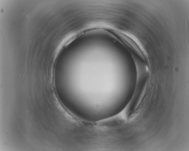 X0000066120815200603171752